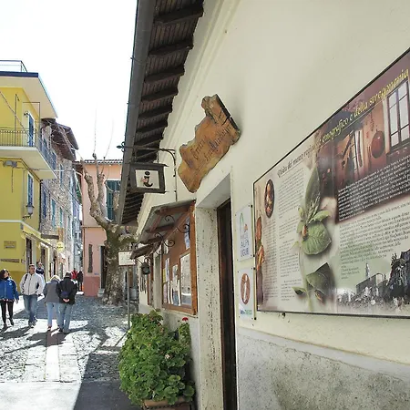 Tra I Cedri By Interhome * トリオーラ