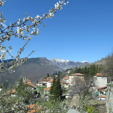 Tra I Cedri By Interhome * トリオーラ