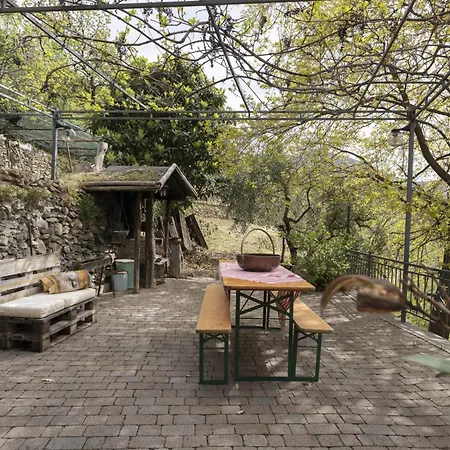 Tra I Cedri By Interhome